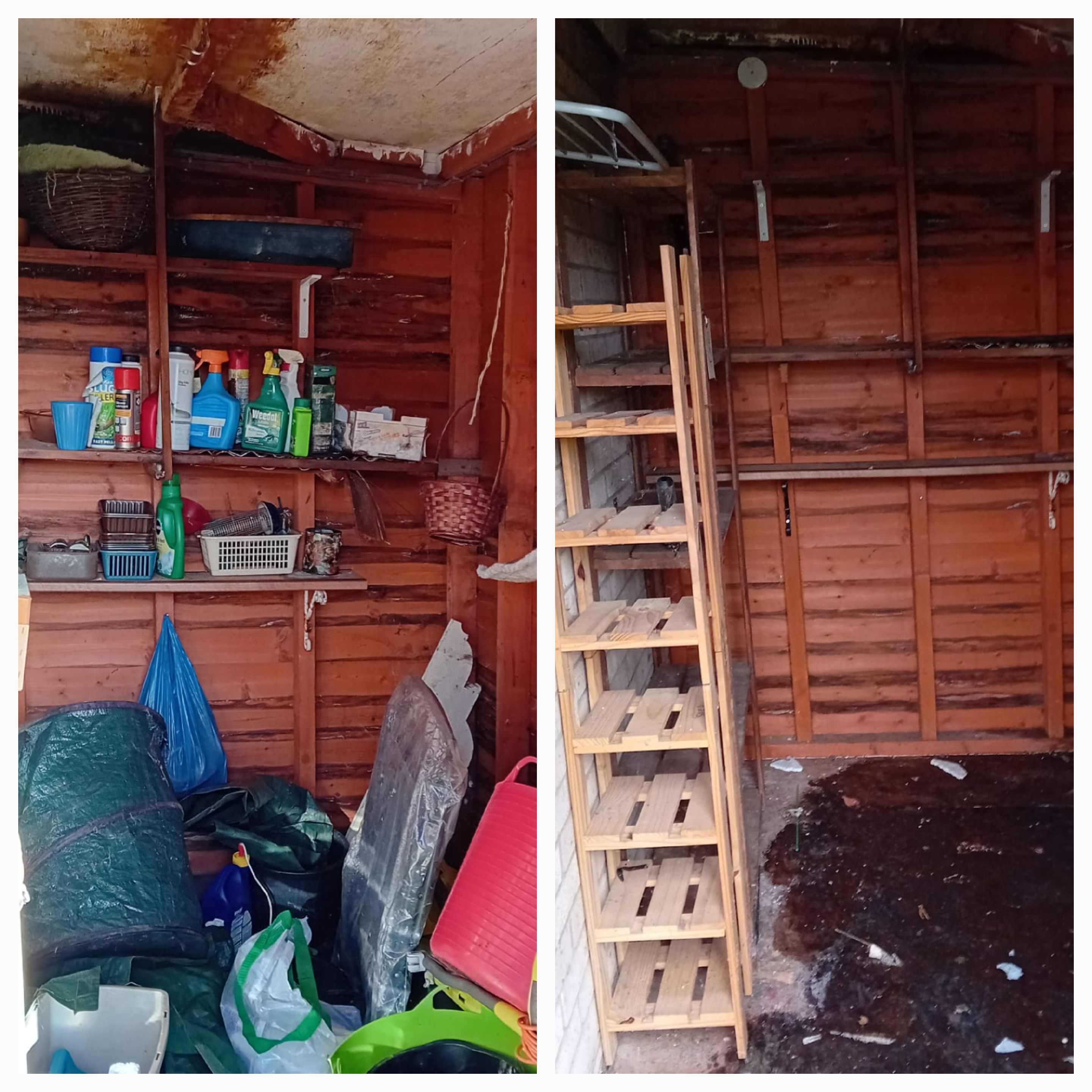 Shed Clearance - Before and After